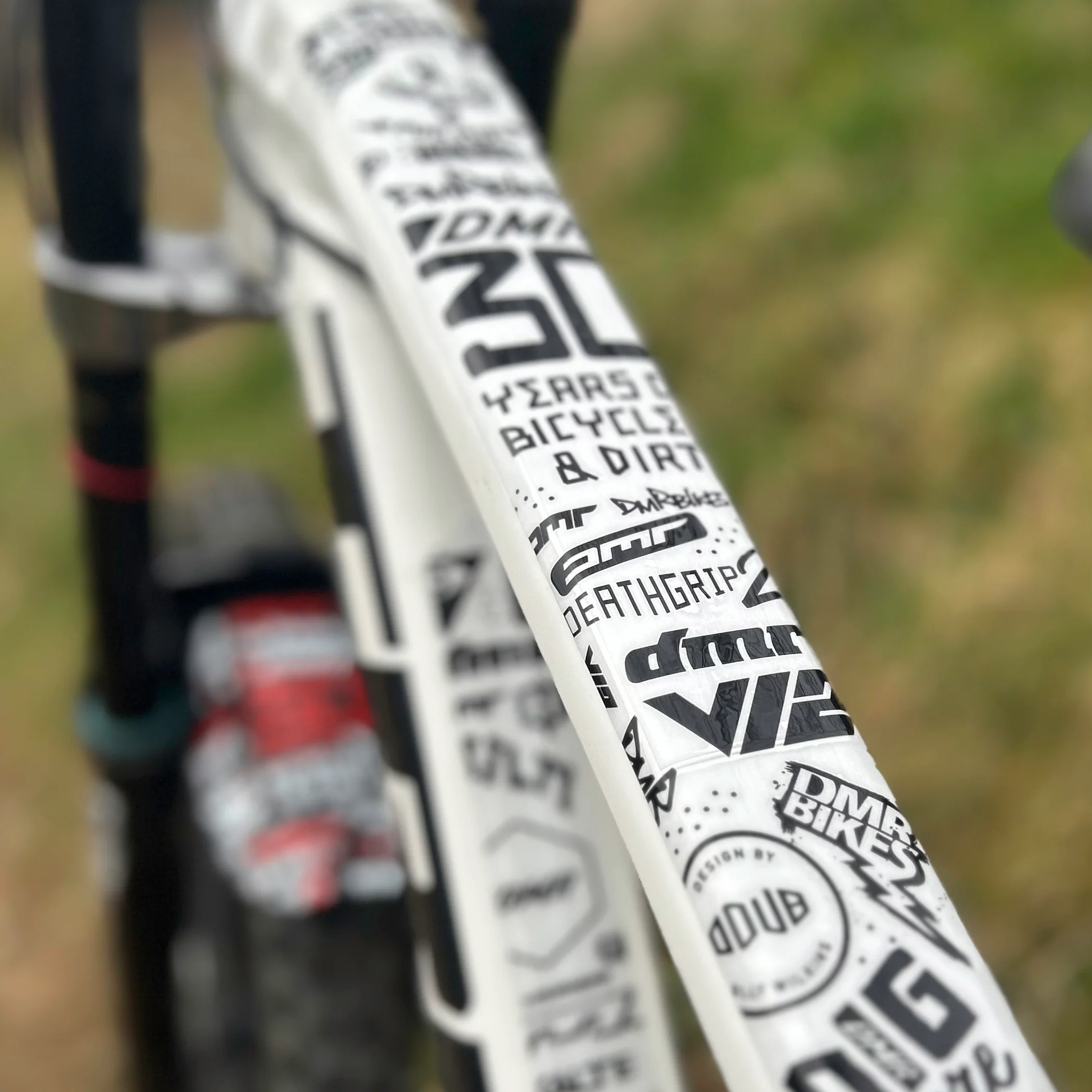 DMR 30 Year Frame Protection Kit - Image 5