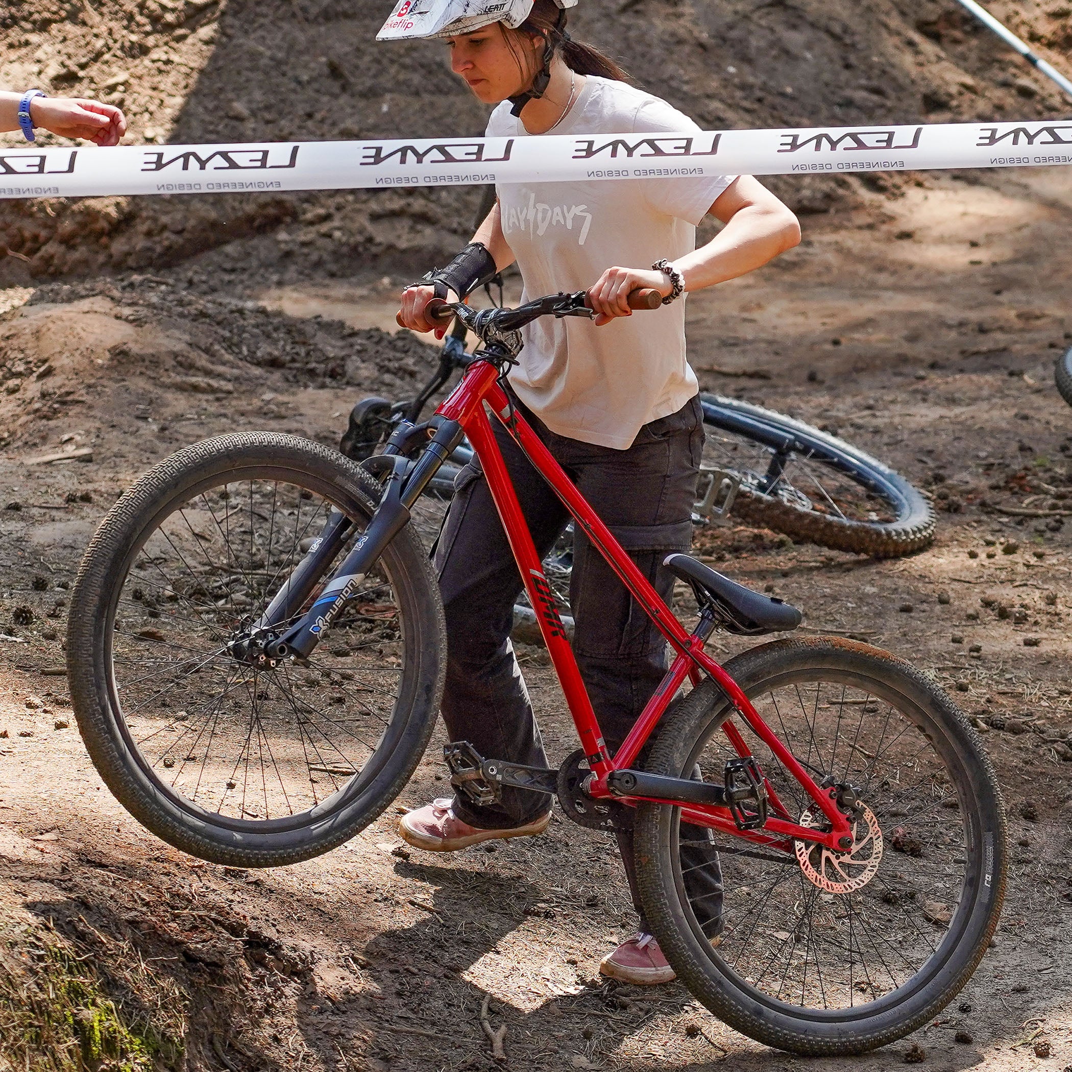 DMR Sect Pro (International) - Image 17