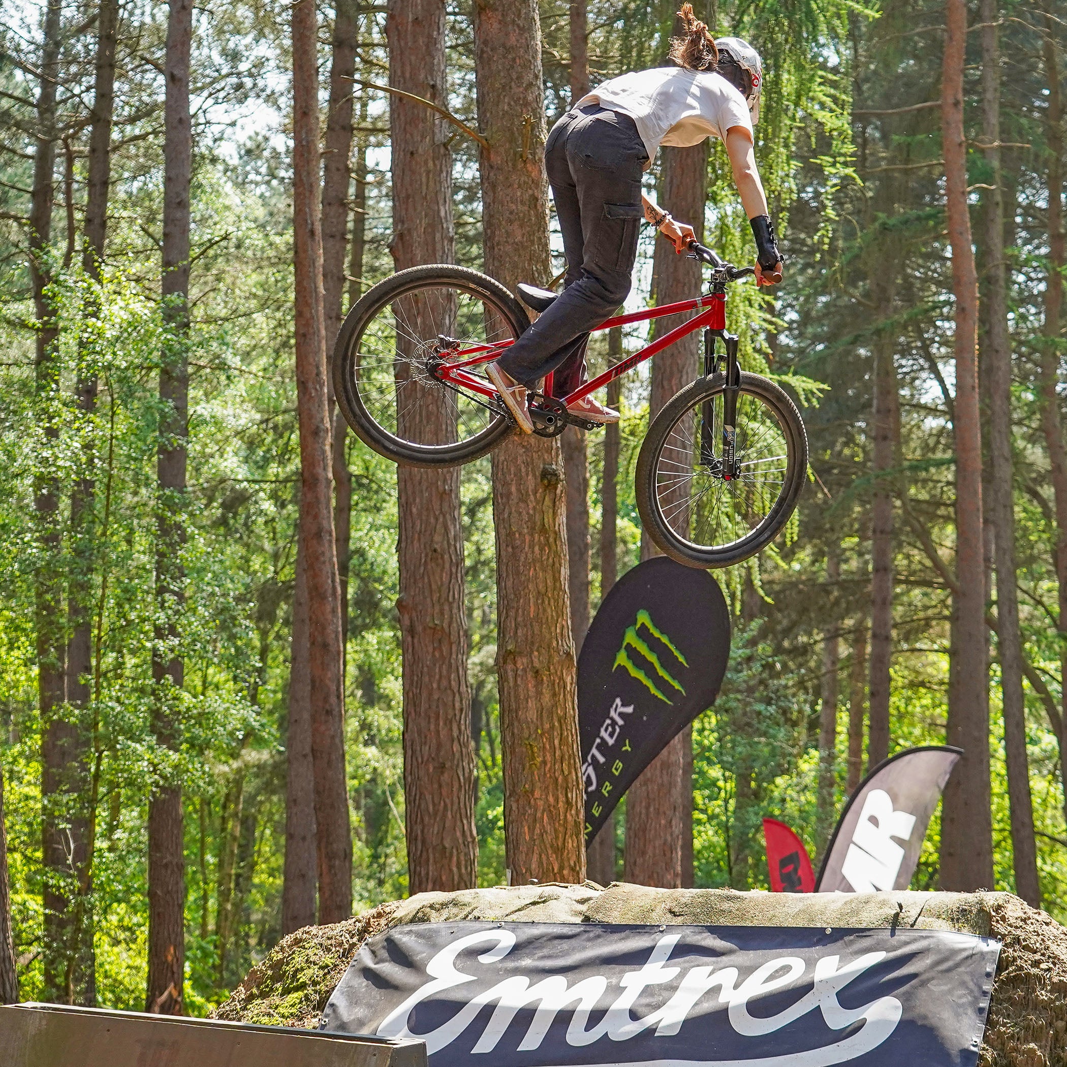 DMR Sect Pro (International) - Image 18