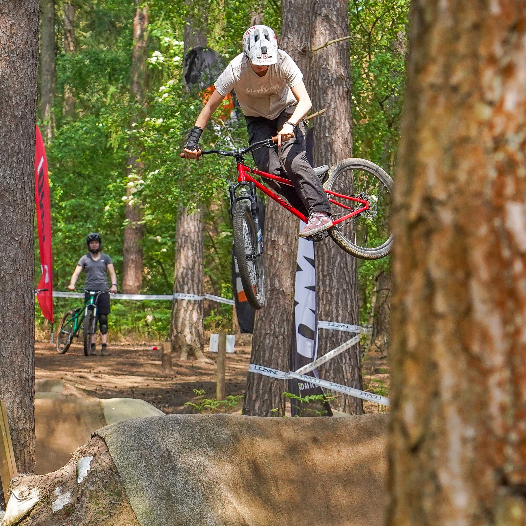 DMR Sect Pro (International) - Image 19