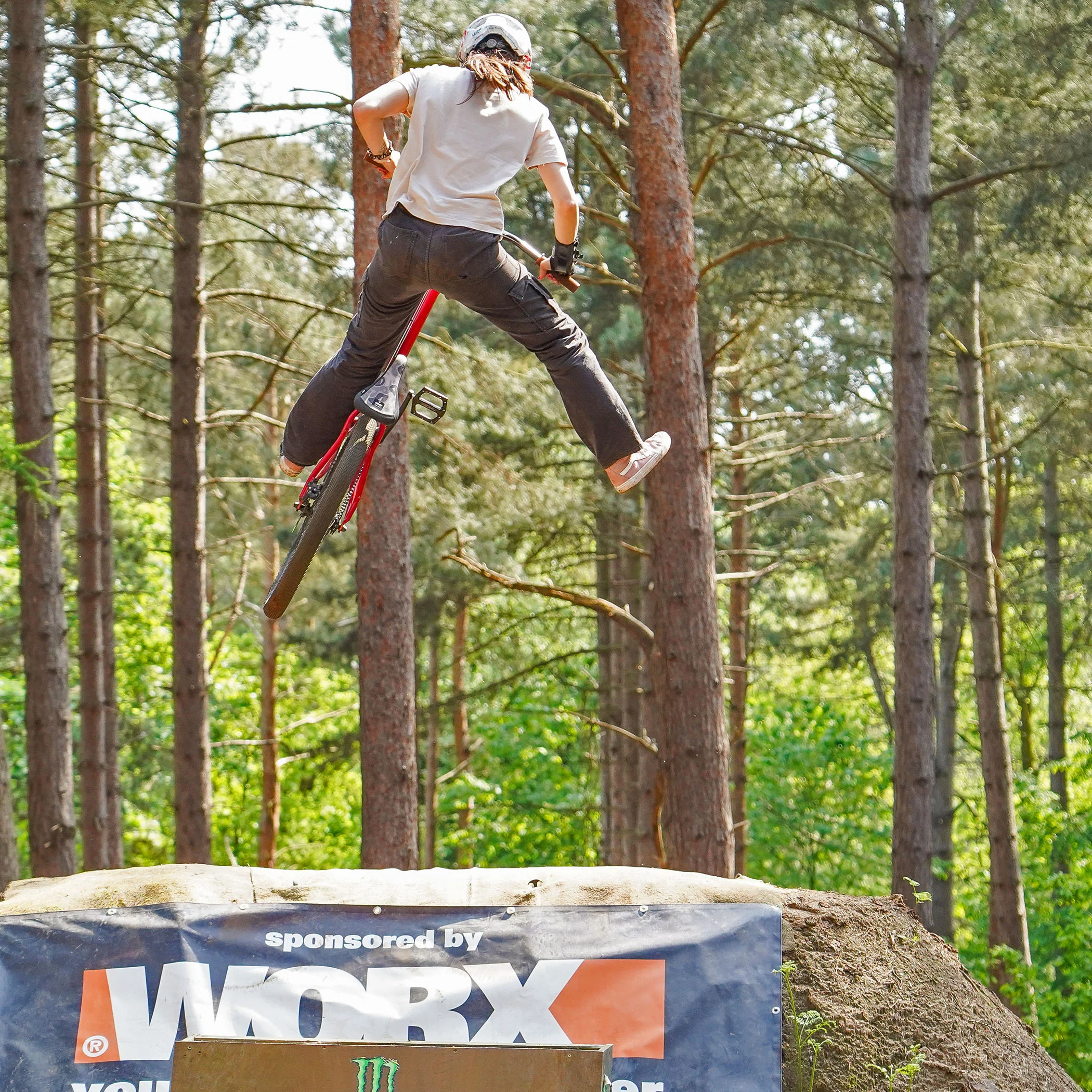 DMR Sect Pro (International) - Image 20