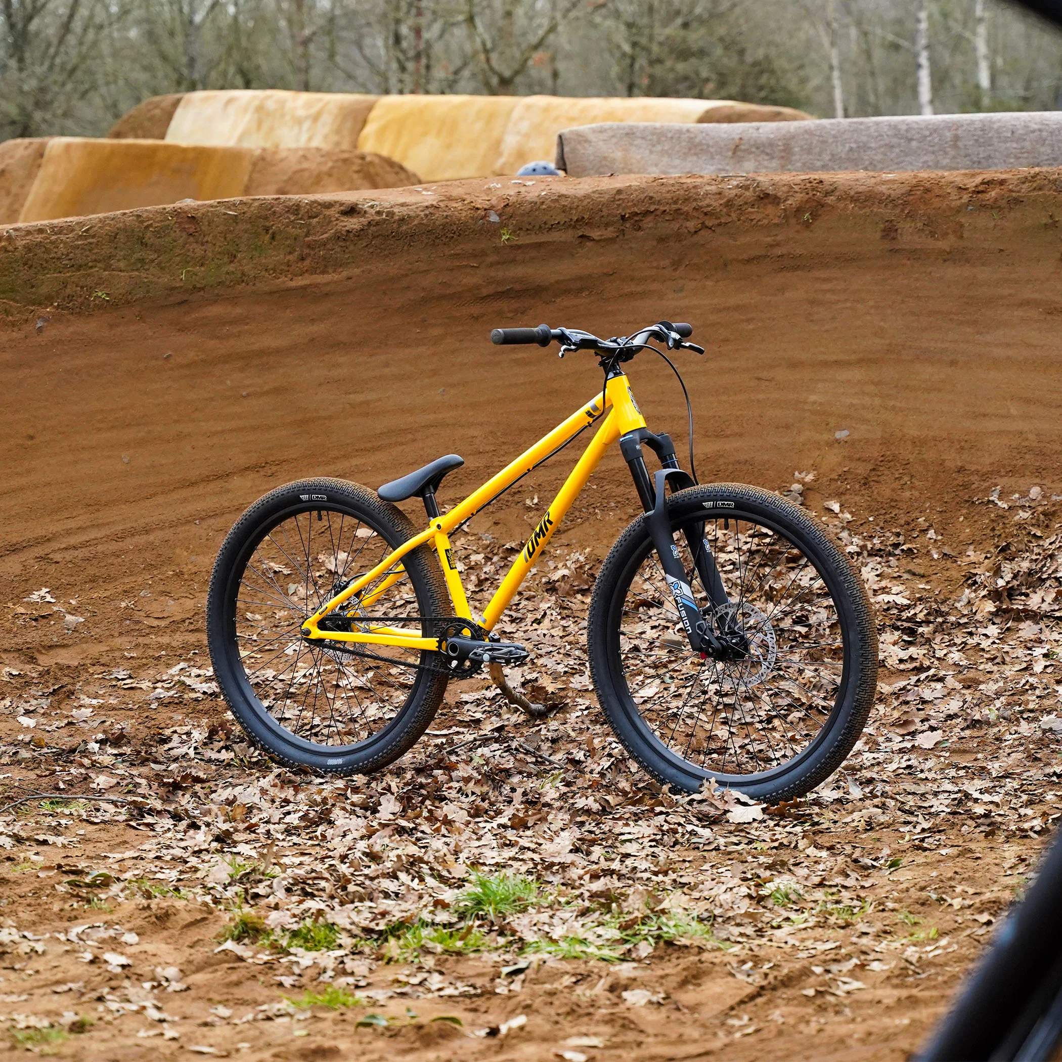 DMR Sect Pro (International) - Image 21