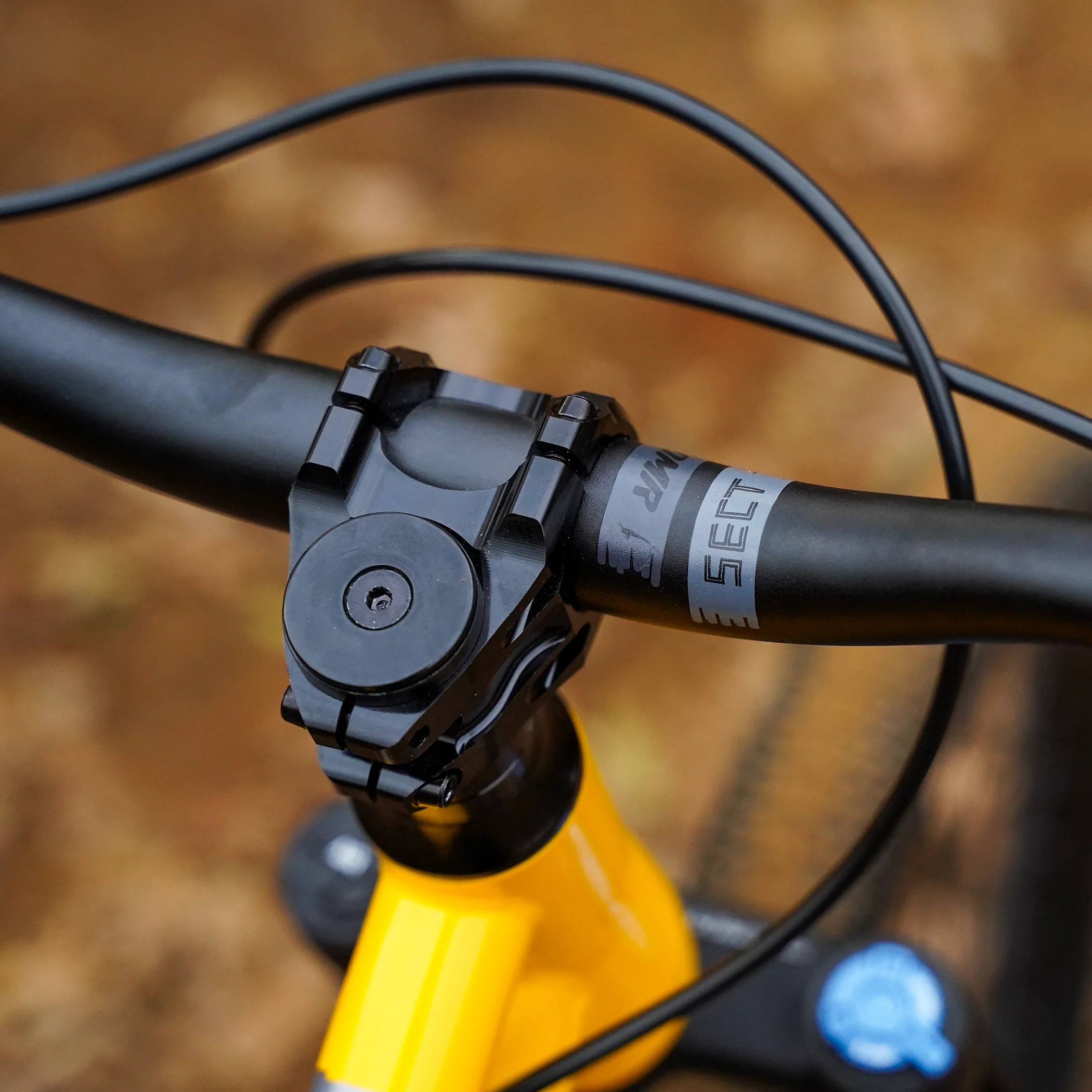 DMR Sect Pro (International) - Image 25