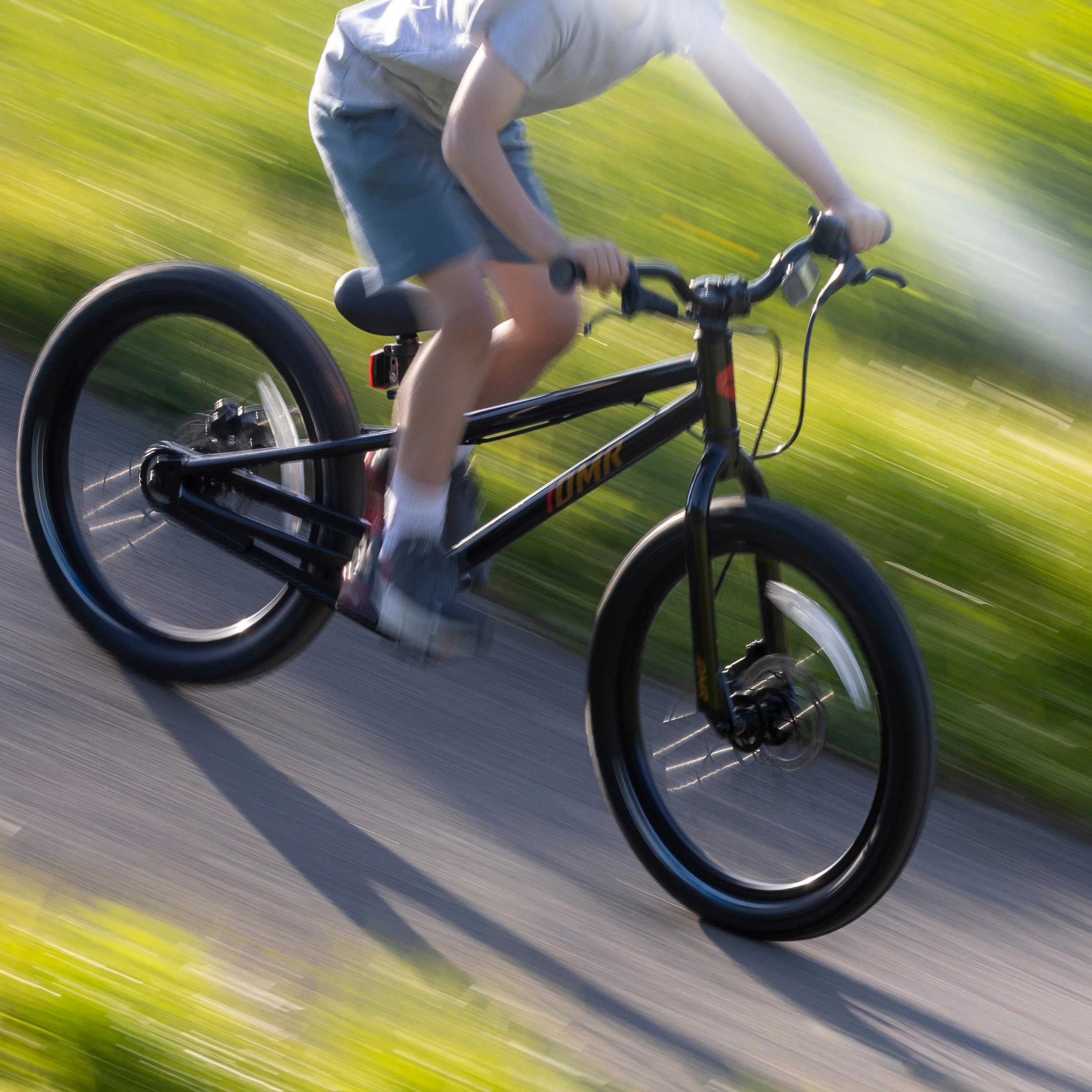 DMR Sidekick Ride - Image 26