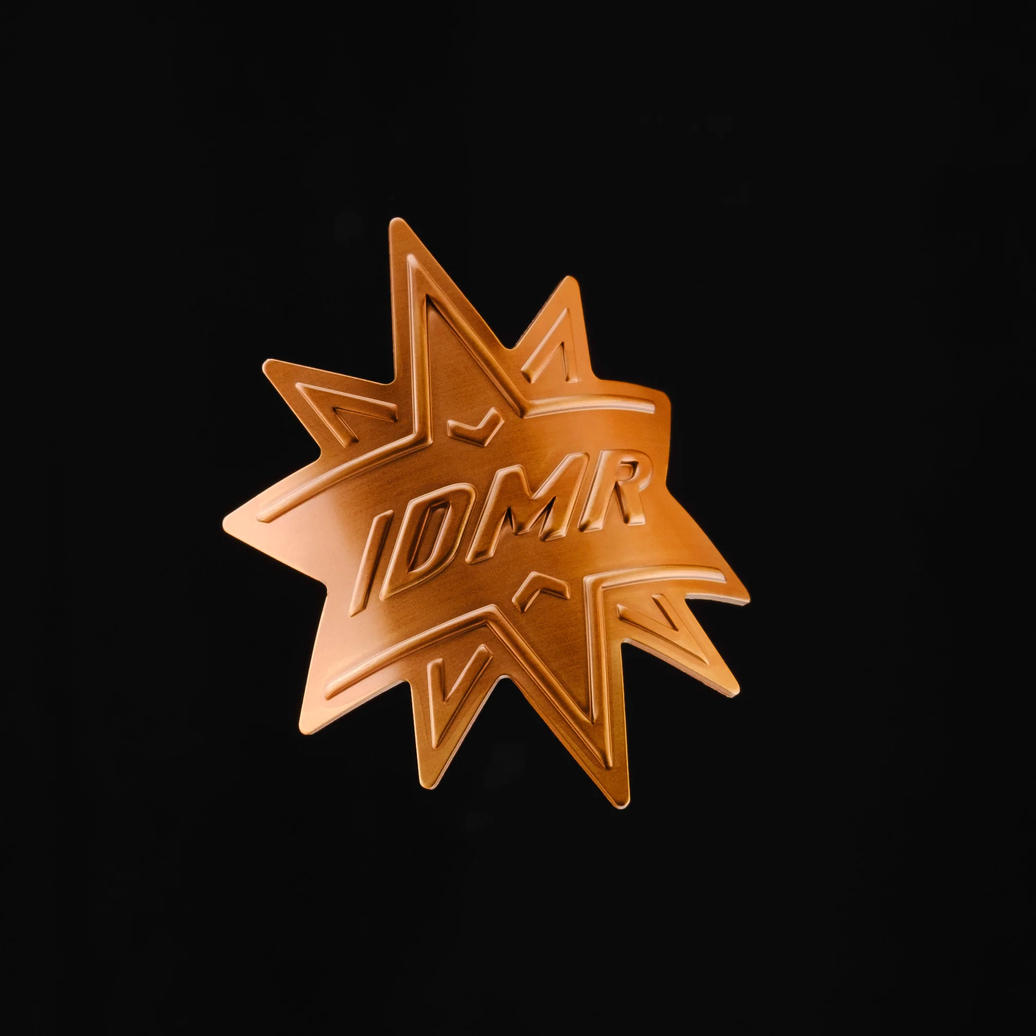 DMR Trailstar Head Badge - Image 3