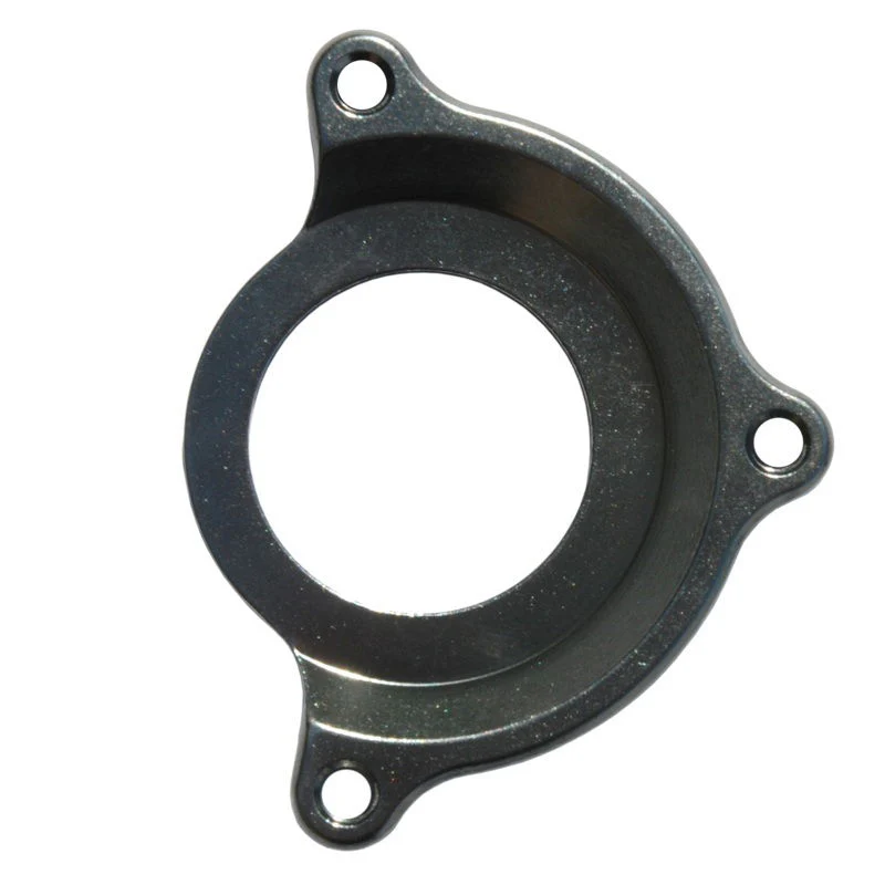 DMR - Viral Chain Guide - ISCG05 Adaptor
